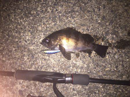 仕事帰り、少し長時間ライト